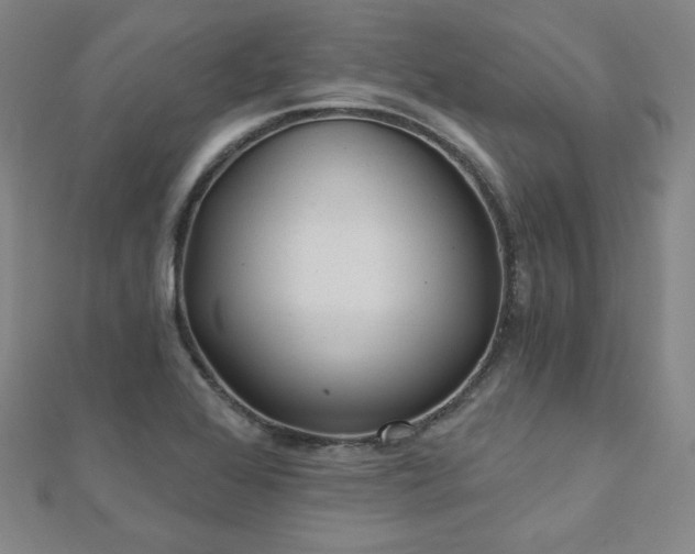 X0000112481368200908171210
