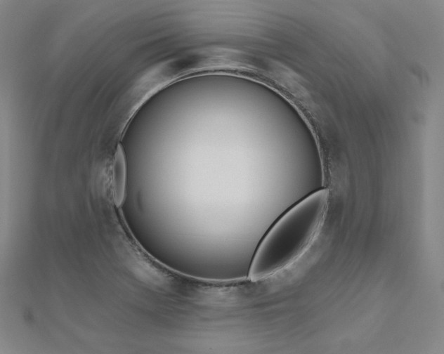 X0000112481369200908171210