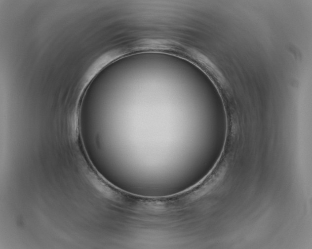 X0000112481370200908171210