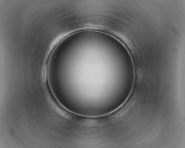 X0000112481371200908171210