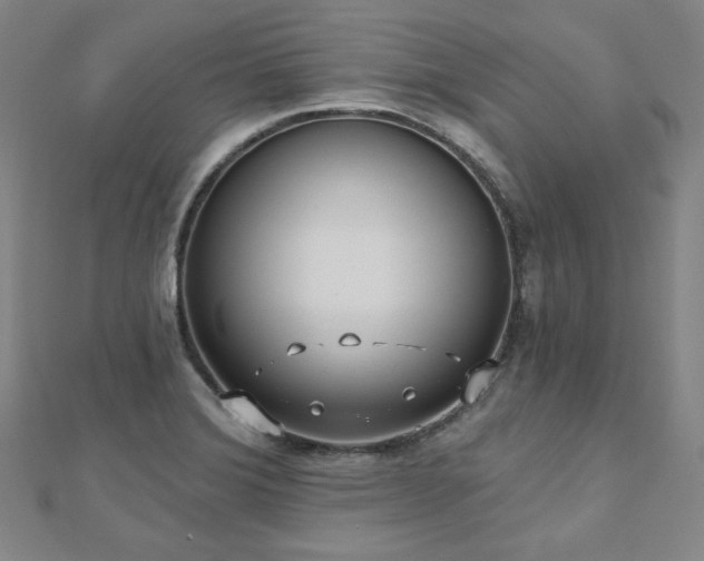 X0000112481372200908171210