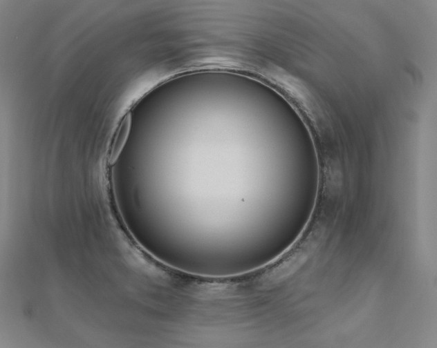 X0000112481373200908171210