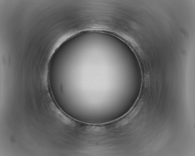X0000112481374200908171210