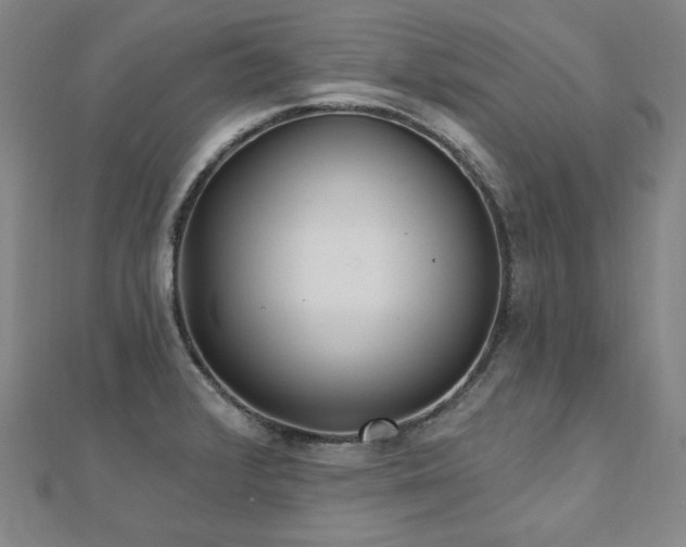 X0000112481376200908171210