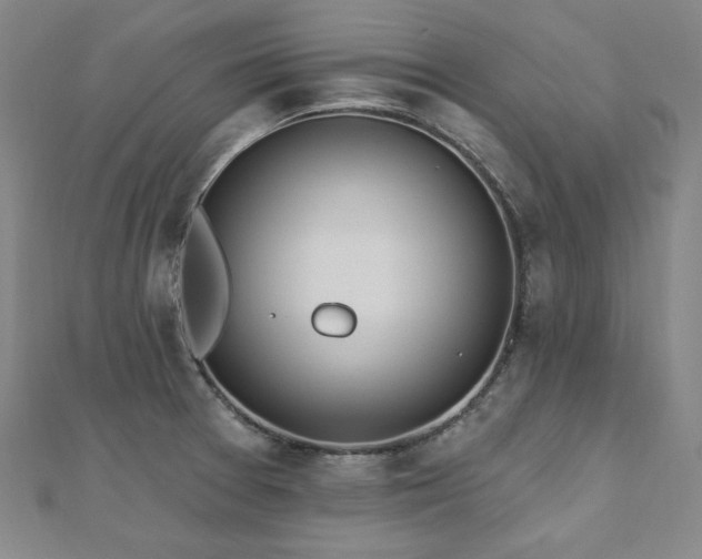 X0000112481377200908171210