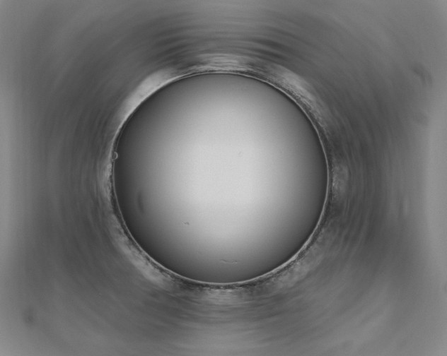 X0000112481378200908171210