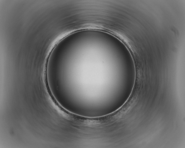 X0000112481379200908171210