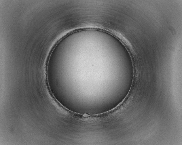 X0000112481380200908171210