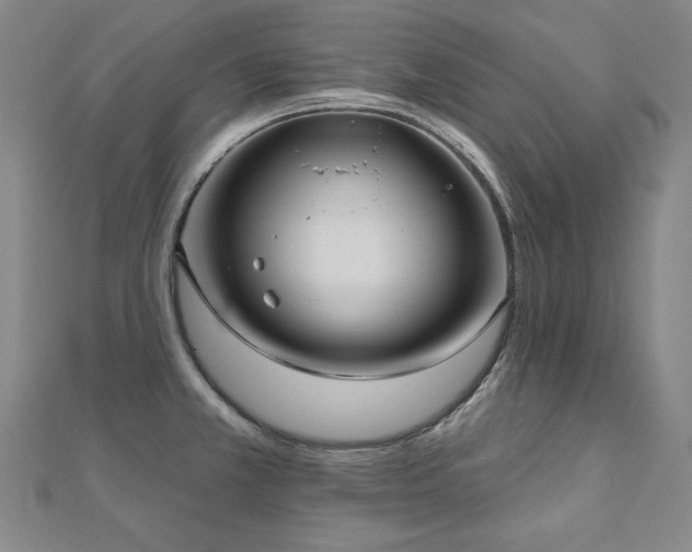 X0000112481381200908171210