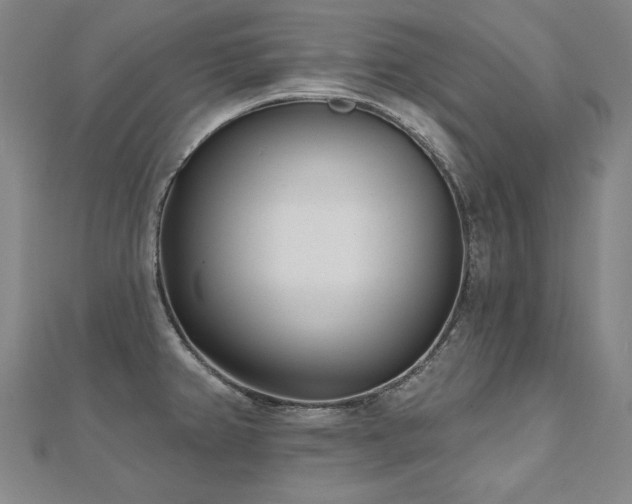 X0000112481382200908171210