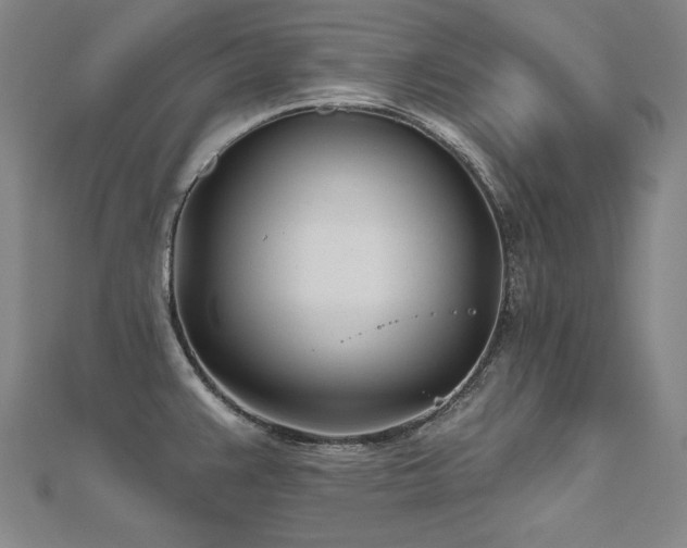 X0000112481383200908171210