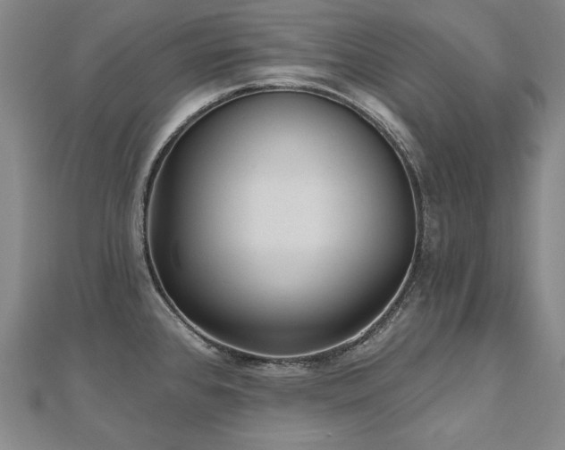 X0000112481384200908171210