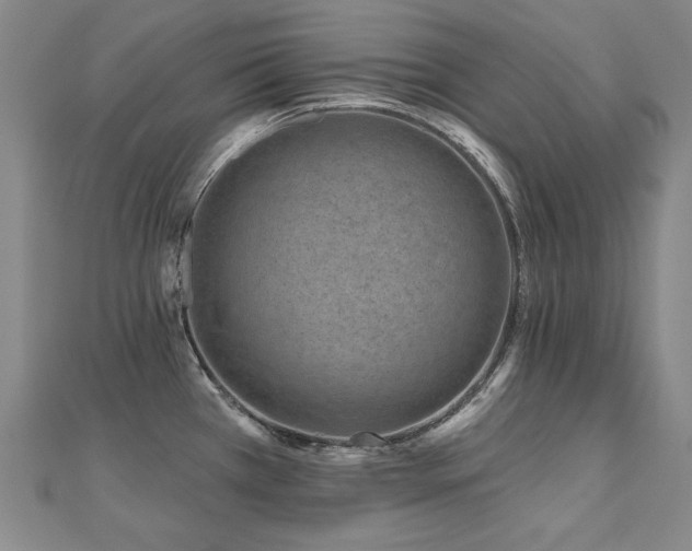 X0000112481385200908171210