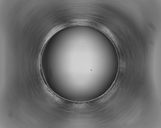 X0000112481386200908171210