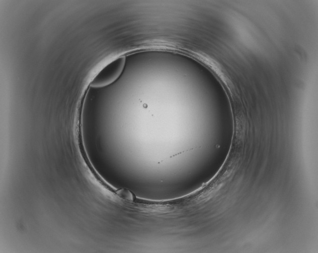X0000112481387200908171210