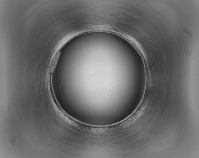 X0000112481389200908171210