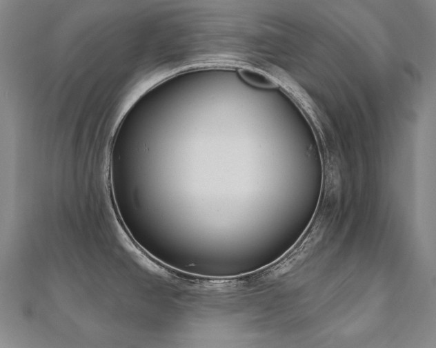 X0000112481390200908171210