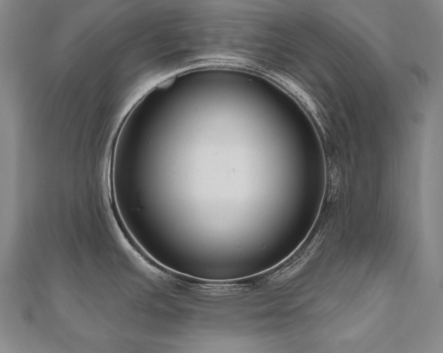 X0000112481391200908171210