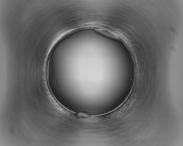 X0000112481392200908171210