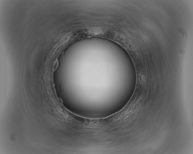 X0000112481393200908171209