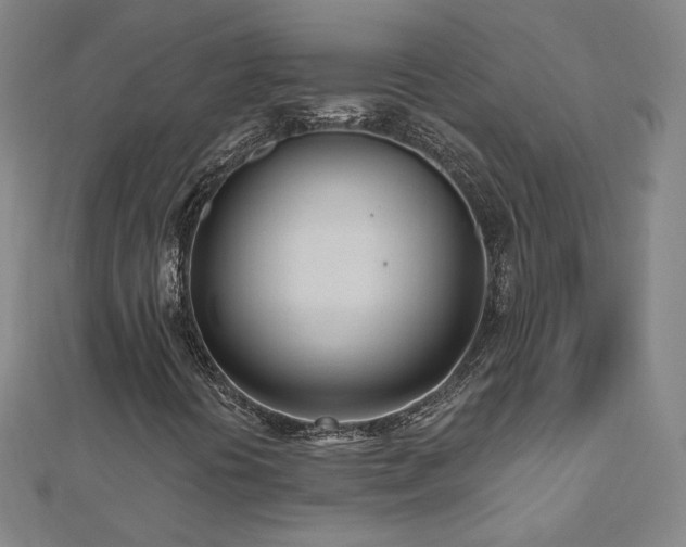 X0000112481394200908171209