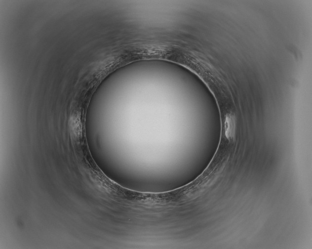 X0000112481395200908171210