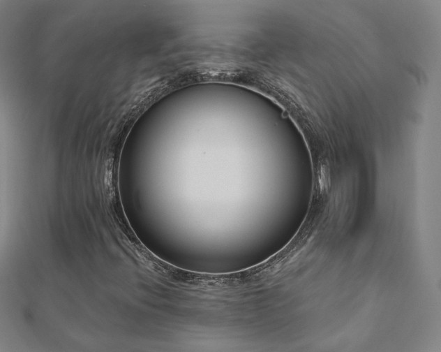 X0000112481396200908171210