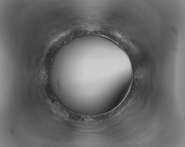 X0000112481398200908171210