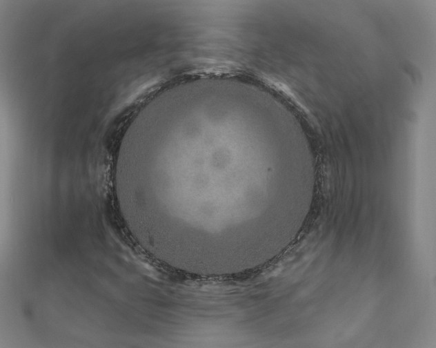 X0000112481399200908171210