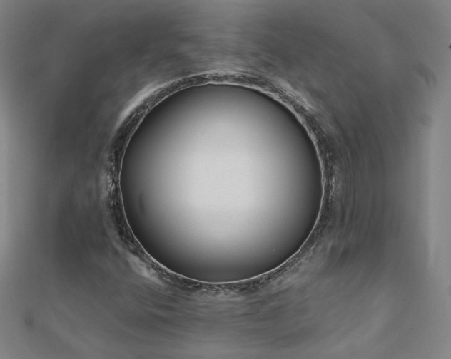 X0000112481400200908171210