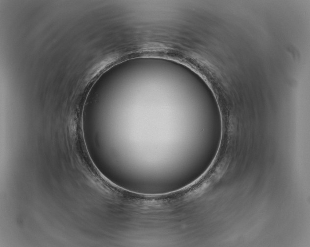 X0000112481401200908171210