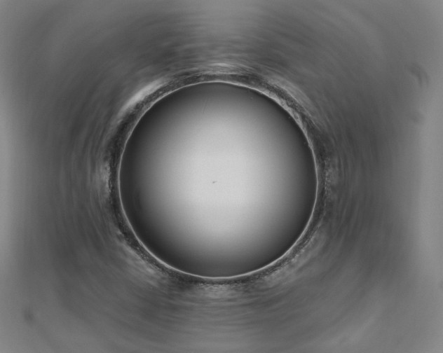 X0000112481402200908171210