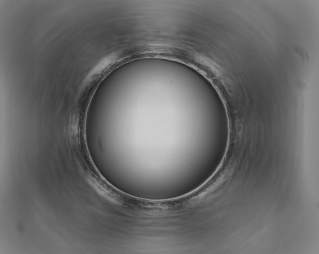 X0000112481403200908171210