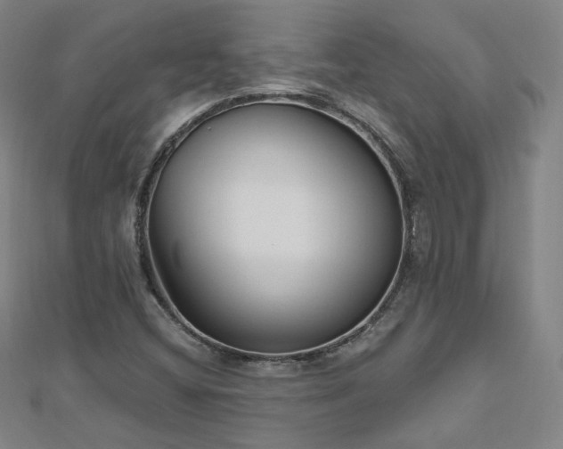 X0000112481404200908171210
