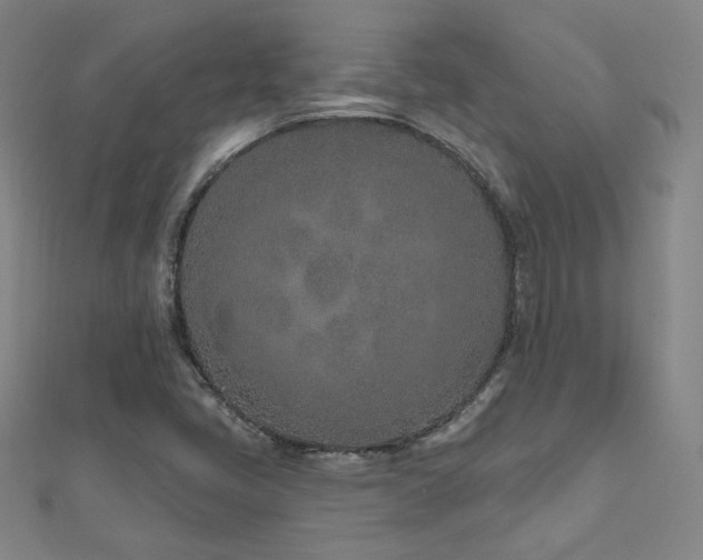 X0000112481405200908171210