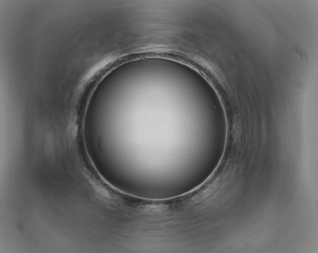 X0000112481406200908171210