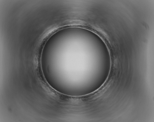 X0000112481407200908171210