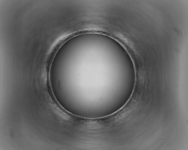 X0000112481408200908171210