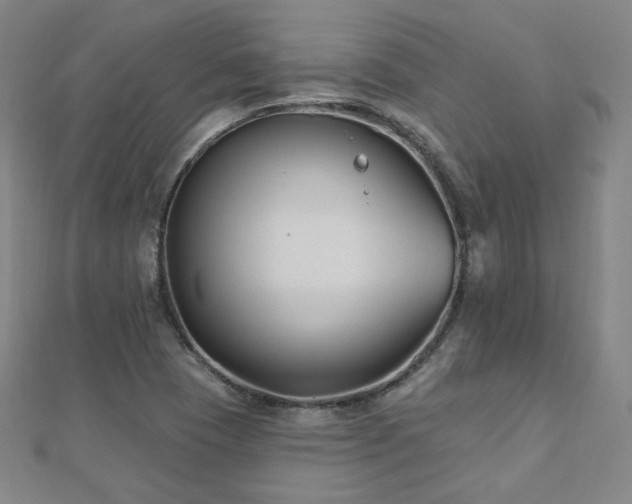 X0000112481409200908171210