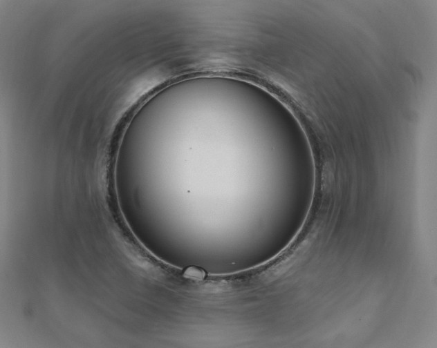 X0000112481410200908171210