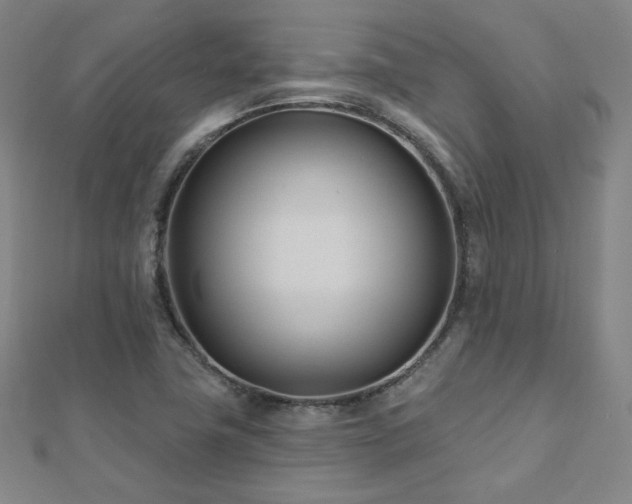 X0000112481411200908171210