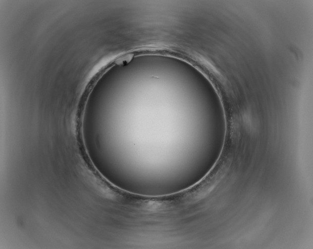 X0000112481412200908171210