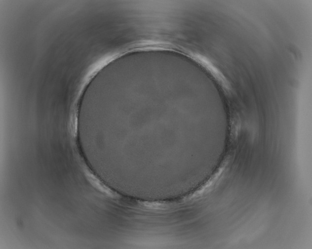 X0000112481413200908171210