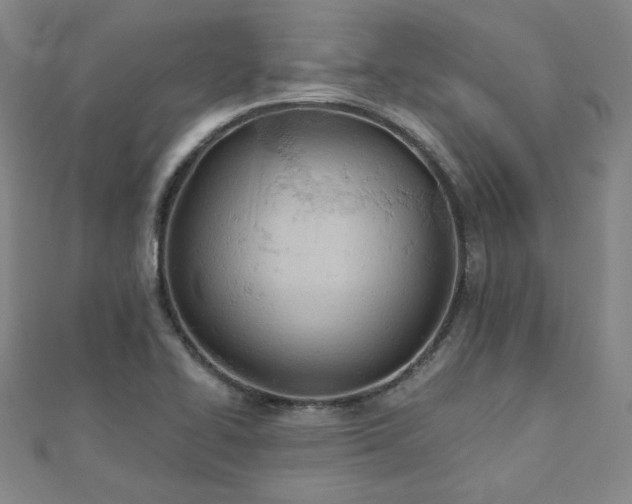 X0000112481414200908171210