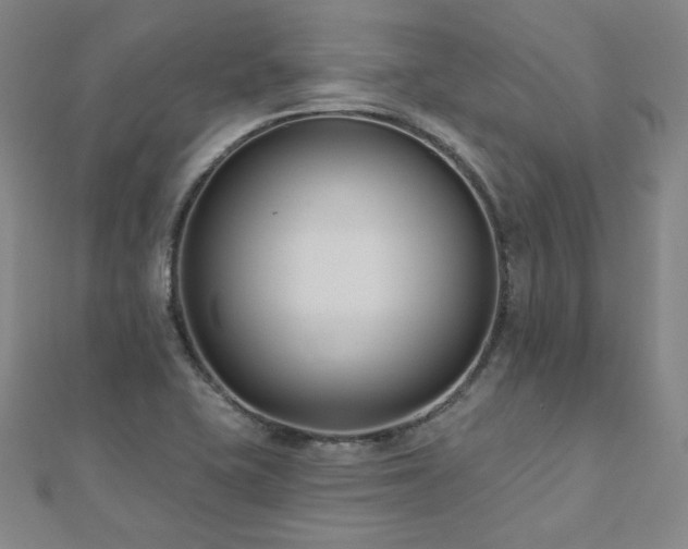 X0000112481415200908171210