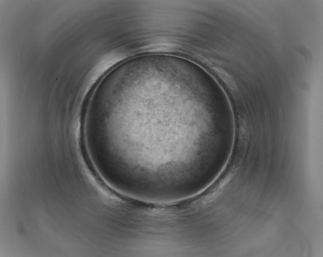 X0000112481418200908171210