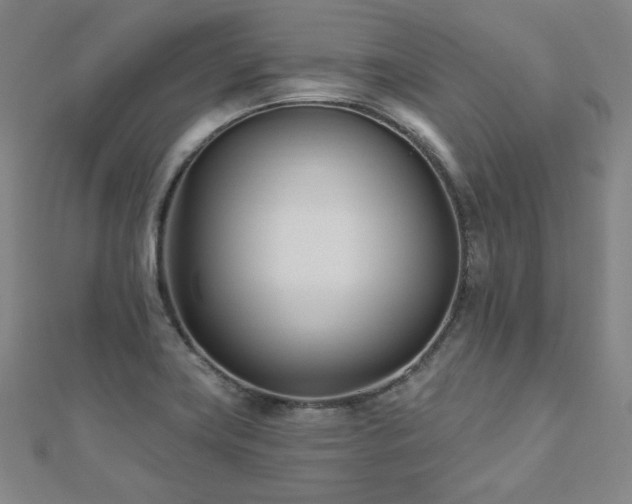 X0000112481419200908171210