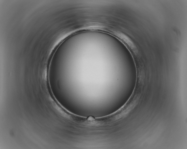 X0000112481420200908171210