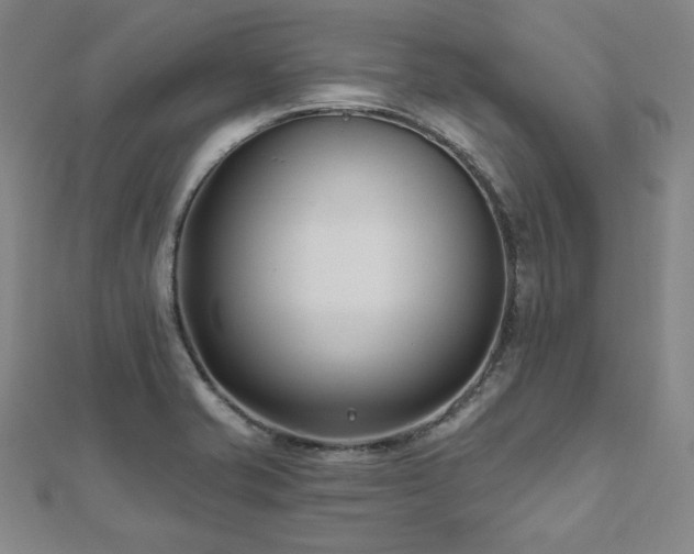 X0000112481421200908171210