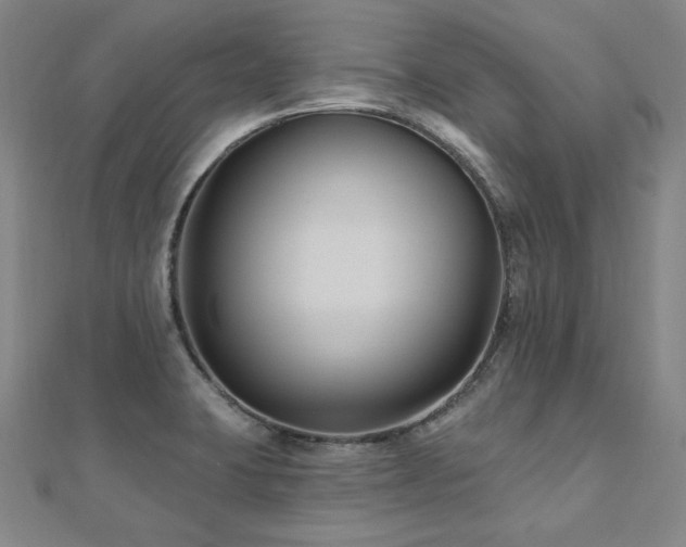 X0000112481423200908171210